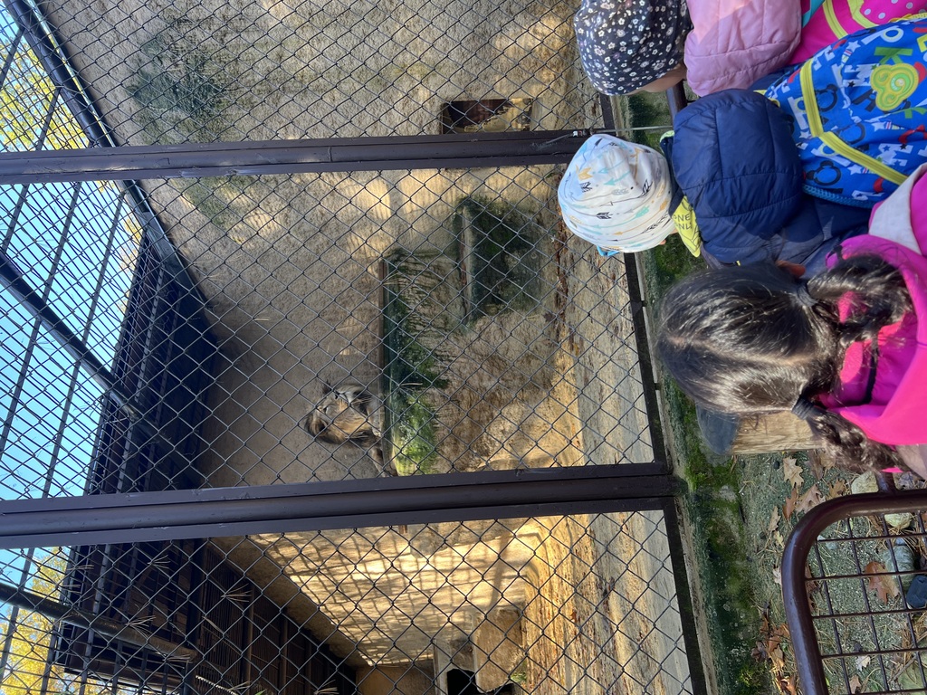 IMG 2784