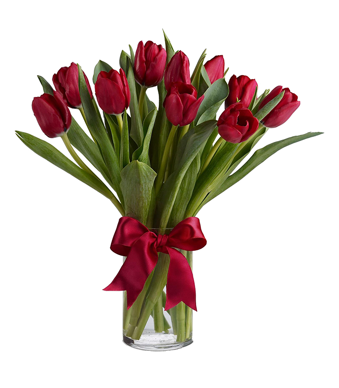 kytice cervenych tulipanu frutiko2